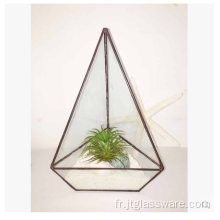 Boîte à fleurs de style terrarium pour plantes en verre carré